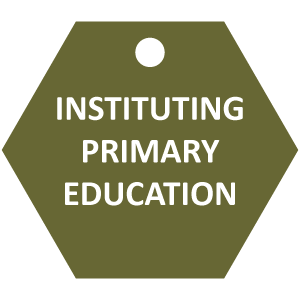 INSTITUTING PRIMARY EDUCATION